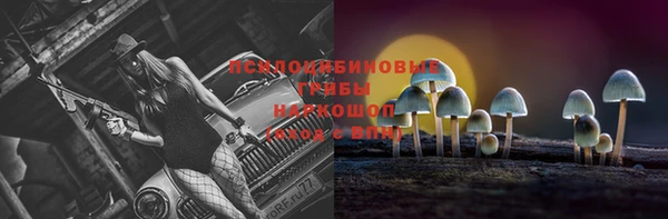 гидропоника Михайлов