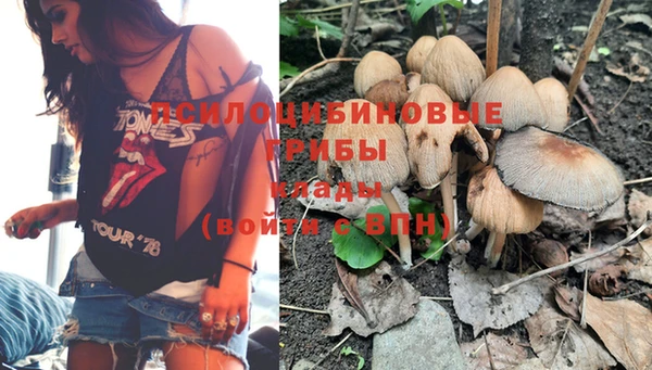 гидропоника Михайлов